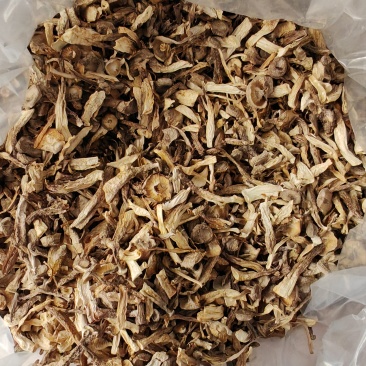 精品鹿茸菇碎片价格美丽质量好批发零售大量有货
