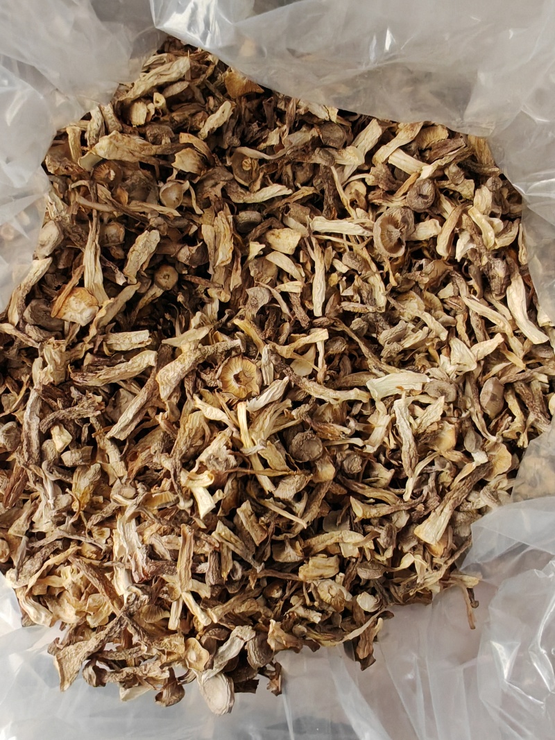 精品鹿茸菇碎片价格美丽质量好批发零售大量有货