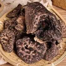 精选虎掌菌干货大货