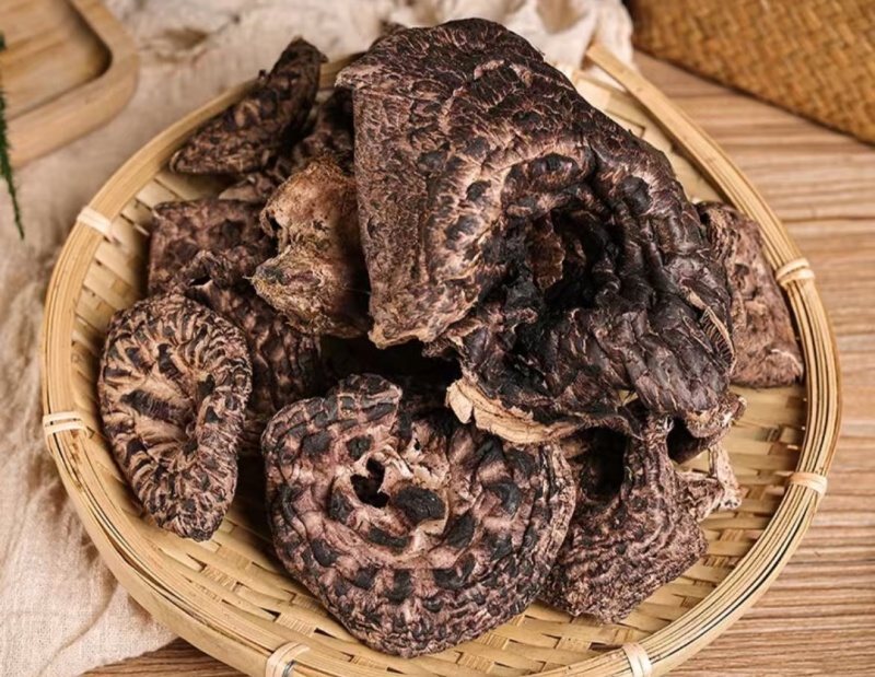 精选虎掌菌干货大货