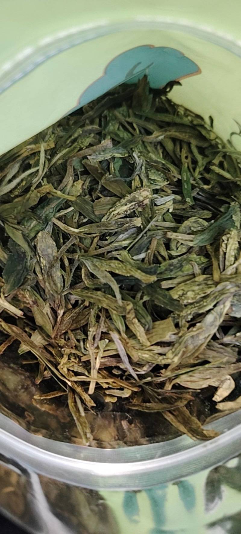 自家高山云雾茶