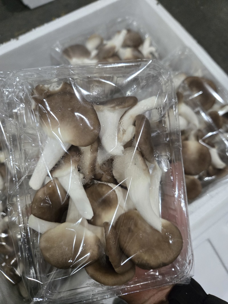 盒秀25盒1件