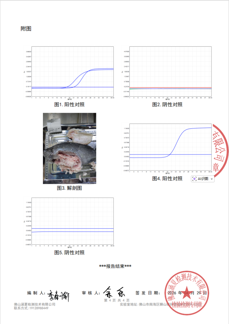 无抗生素，无重金属，无寄生虫，无激素，无药残的澳宝鱼