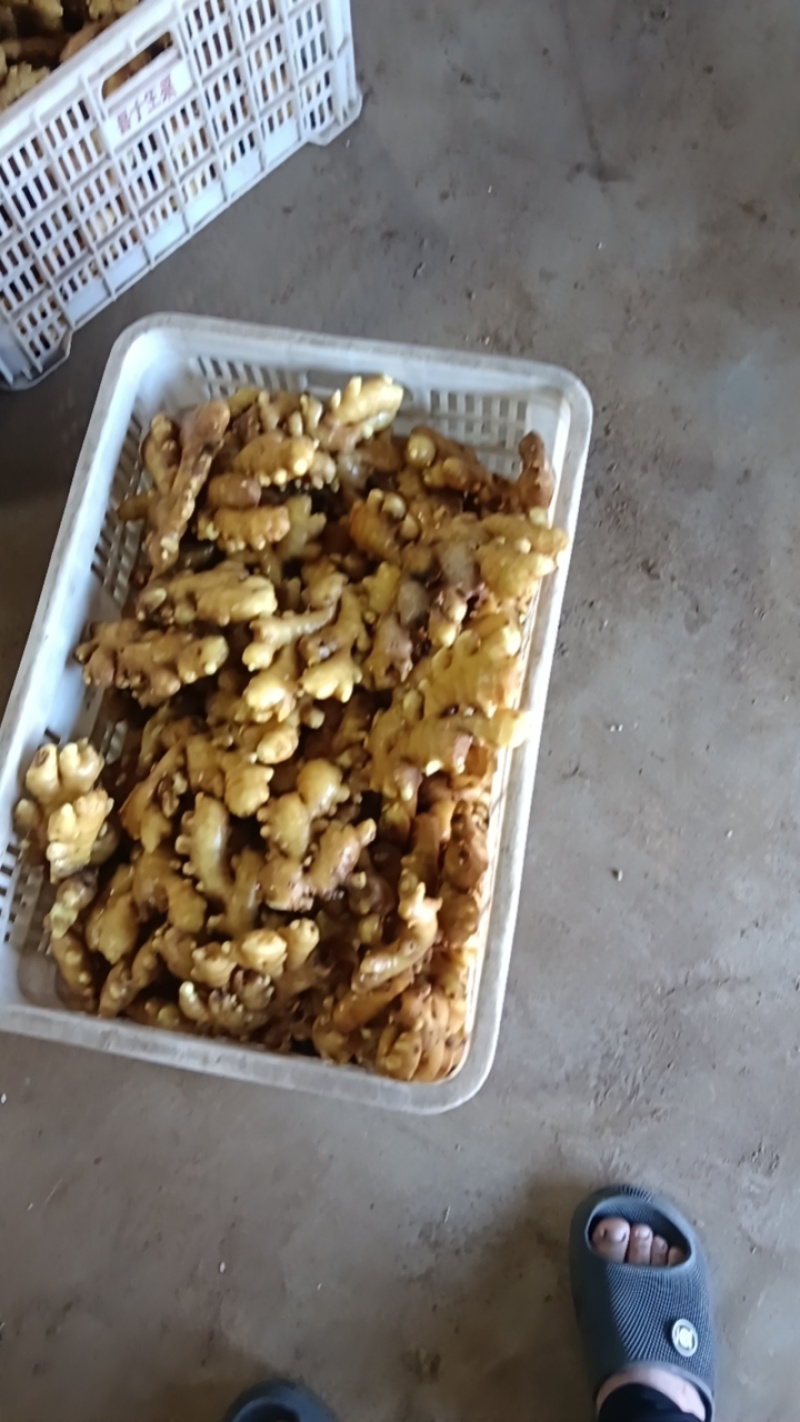 生姜供养