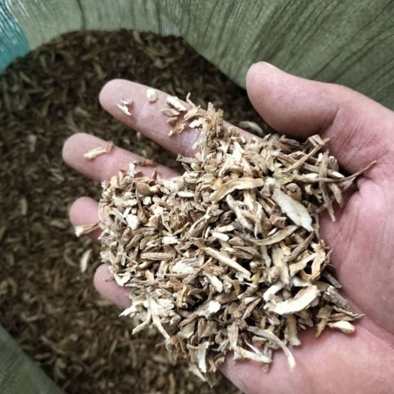 甘肃当归片当归新货全切当归片调味料黄芪党参炖肉卤料调味品