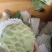 大目释迦果新鲜果子现摘现发