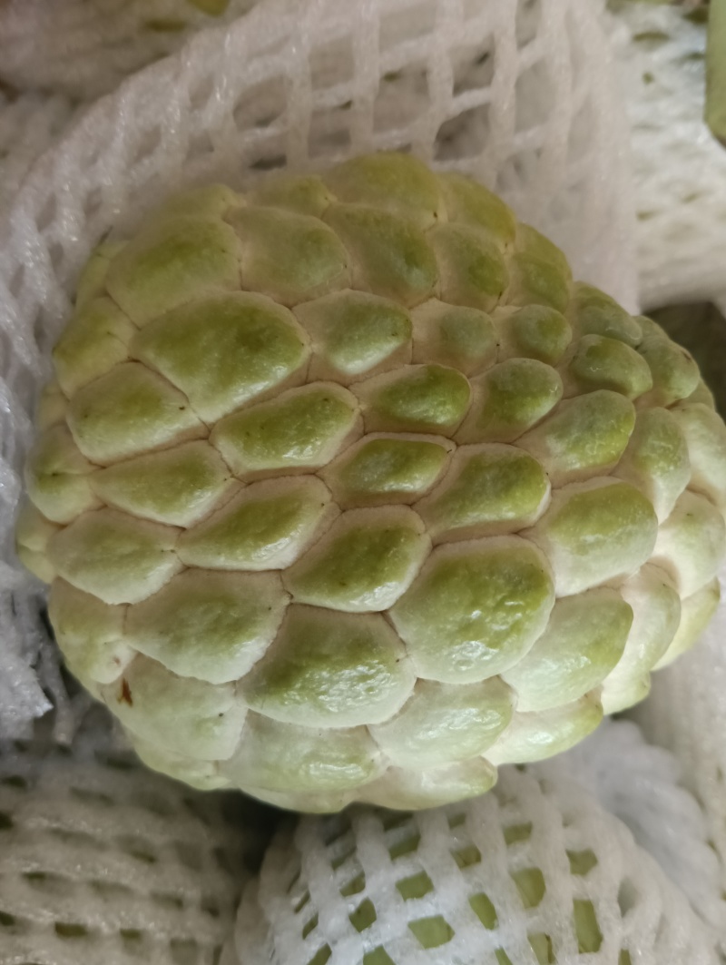 大目释迦果新鲜果子现摘现发