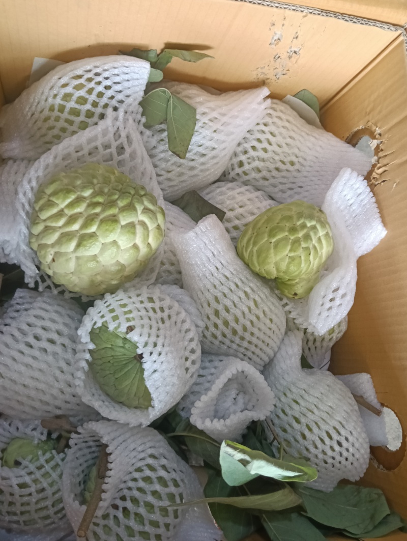 大目释迦果新鲜果子现摘现发