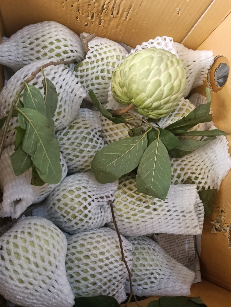 大目释迦果新鲜果子现摘现发