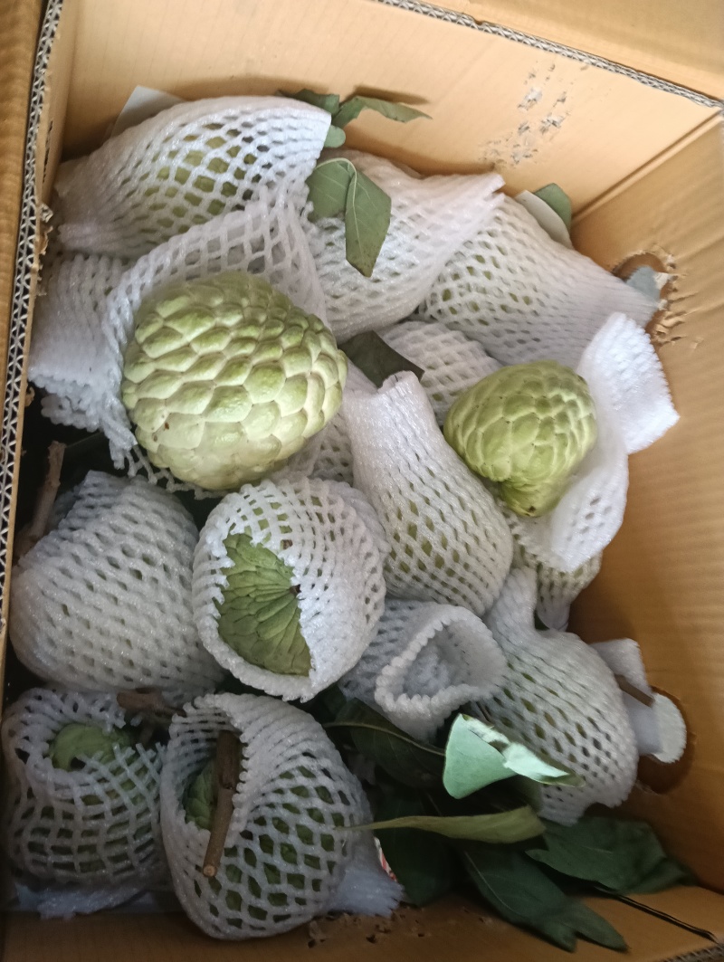 大目释迦果新鲜果子现摘现发