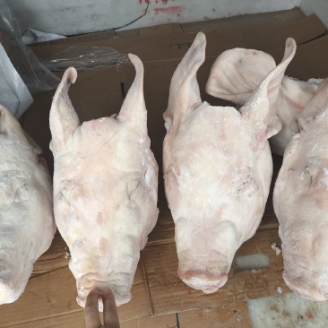 双汇带耳大猪头，一级优等品质