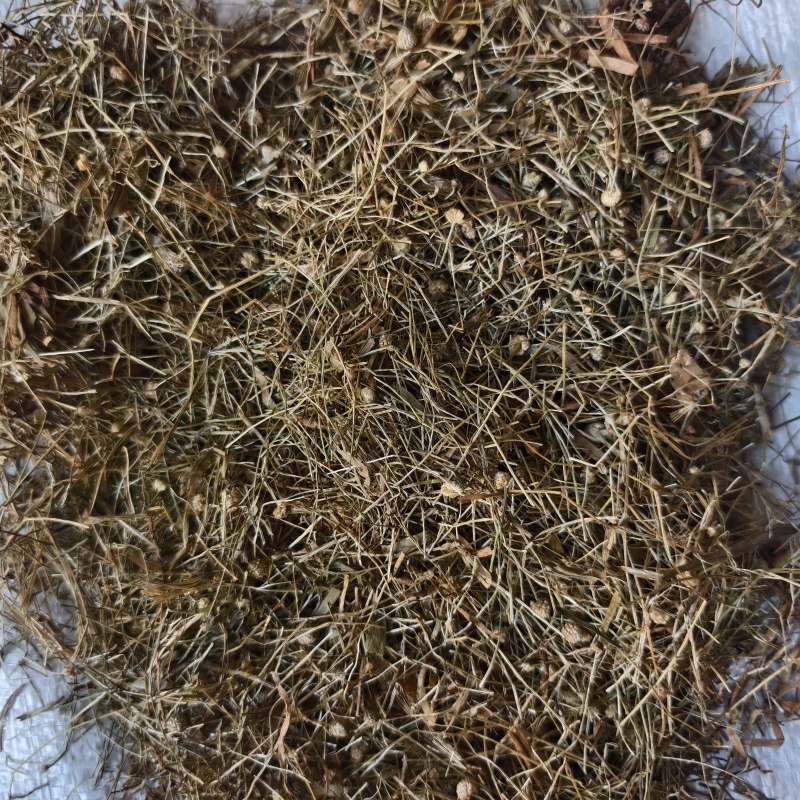 谷精草谷精草无杂质产地湖南省产地直供