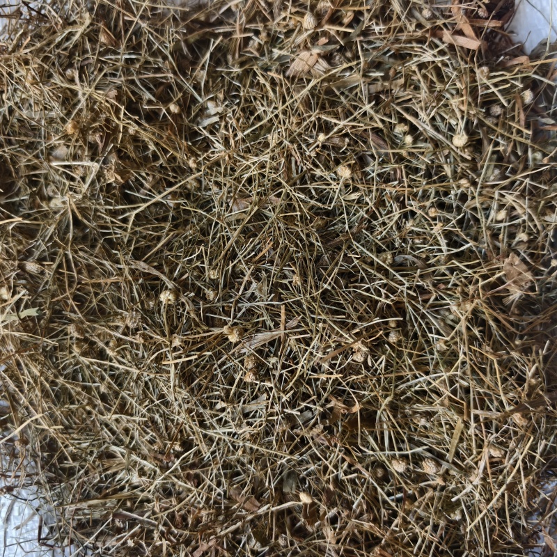 谷精草谷精草无杂质产地湖南省产地直供