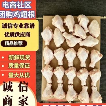 纯干翅根，规格齐全