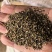 菜籽下脚料