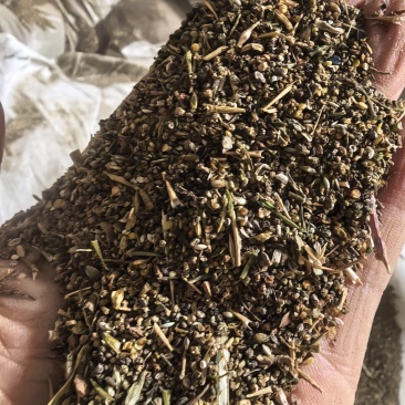 菜籽下脚料