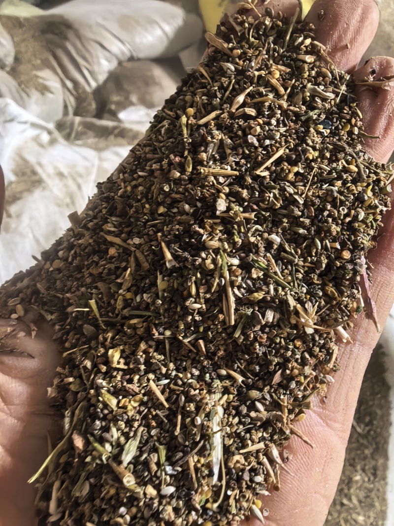 菜籽下脚料