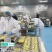 榴莲肉品质保证资质齐全，电商榴莲肉一件代发，供超市全国