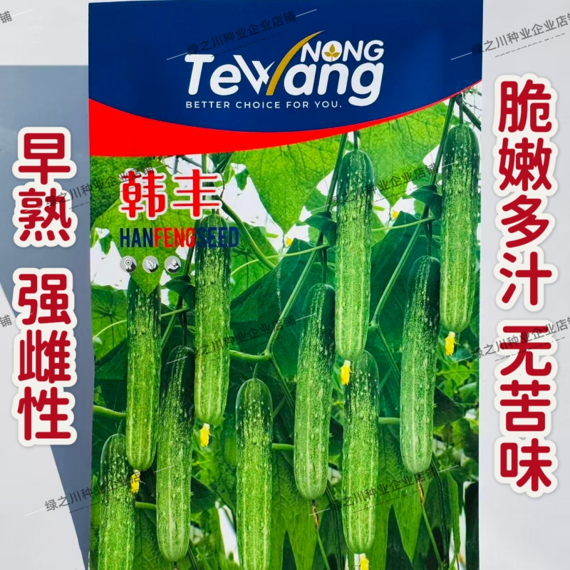 韩丰燕白黄瓜种子不苦早熟强雌性黄瓜种籽口感脆嫩多汁黄瓜种