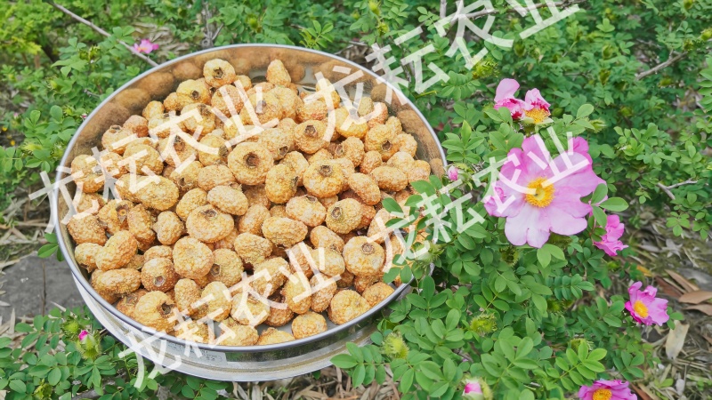 贵州高品质冻干刺梨原产地直发花果茶