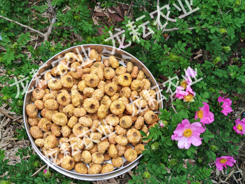 贵州高品质冻干刺梨原产地直发花果茶