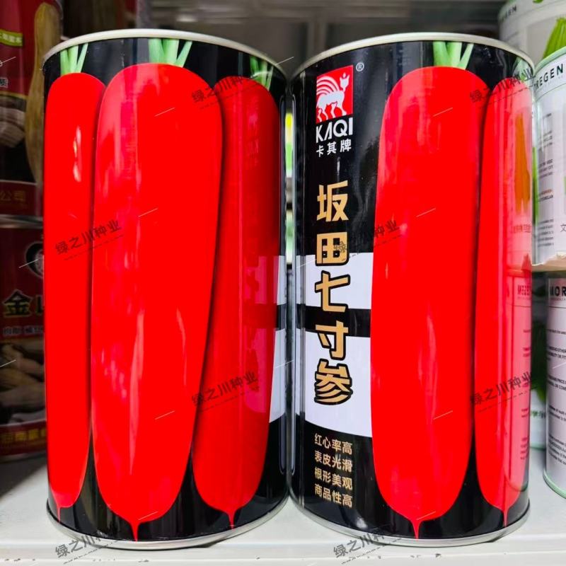 坂田七寸参胡萝卜种子南北方种植高产，着色膨大快三红率高