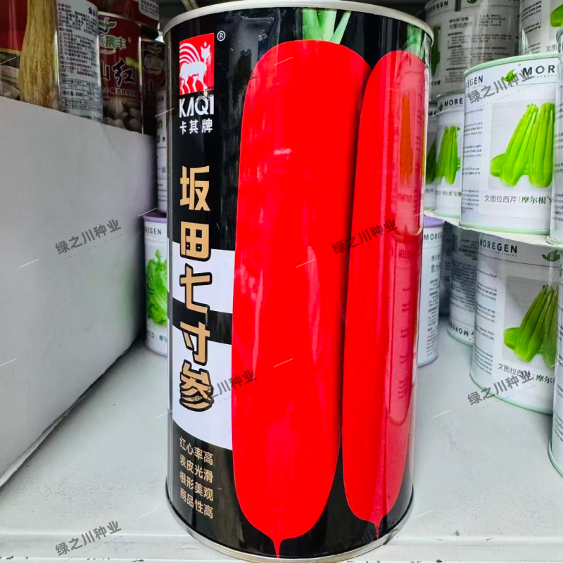 坂田七寸参胡萝卜种子南北方种植高产，着色膨大快三红率高