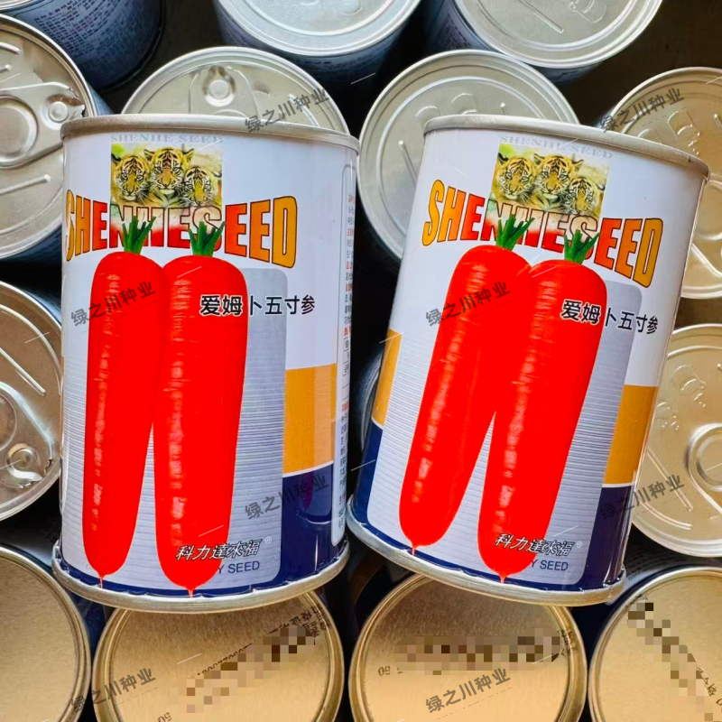 爱姆卜五寸参胡萝卜种子甜脆五寸胡萝卜种籽肉质细嫩大田基地