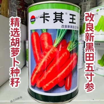 卡其王胡萝卜种子改良新黑田五寸参胡萝卜种子脆甜高产秋季