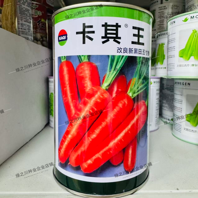 卡其王胡萝卜种子改良新黑田五寸参胡萝卜种子脆甜高产秋季