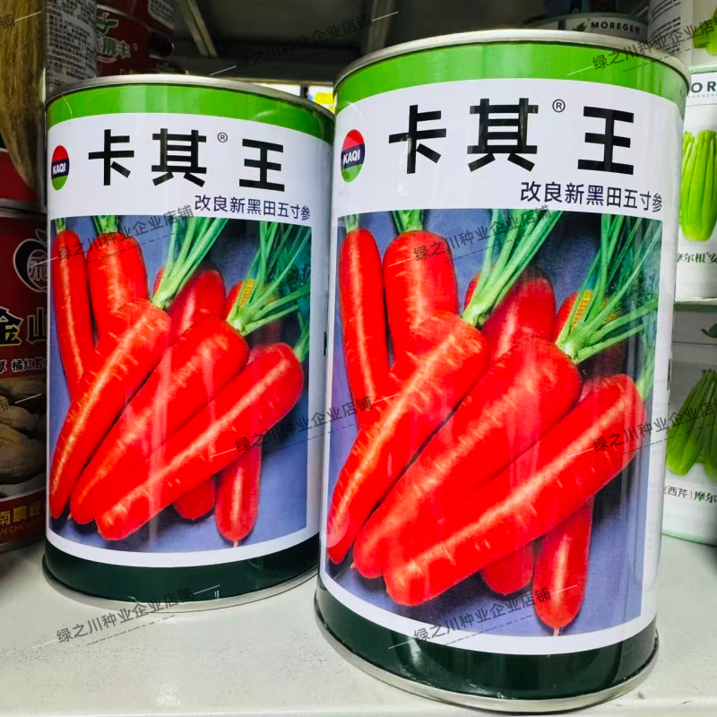 卡其王胡萝卜种子改良新黑田五寸参胡萝卜种子脆甜高产秋季