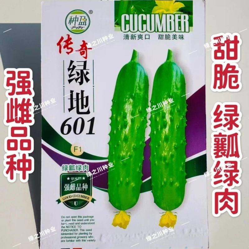 传奇绿地601水果黄瓜种子甜脆绿瓤绿肉黄瓜种子瓜味浓