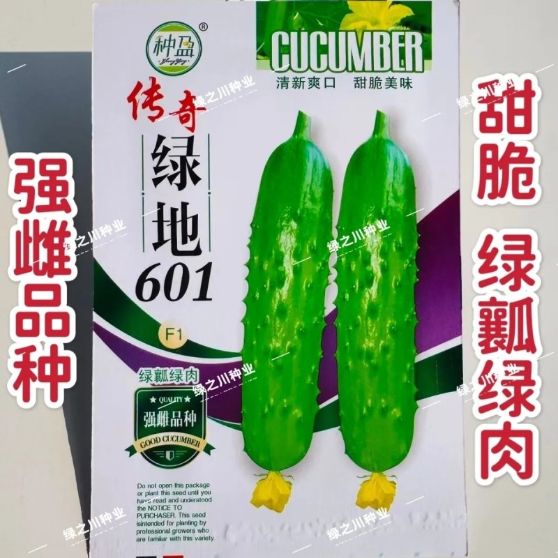 传奇绿地601水果黄瓜种子甜脆绿瓤绿肉黄瓜种子瓜味浓