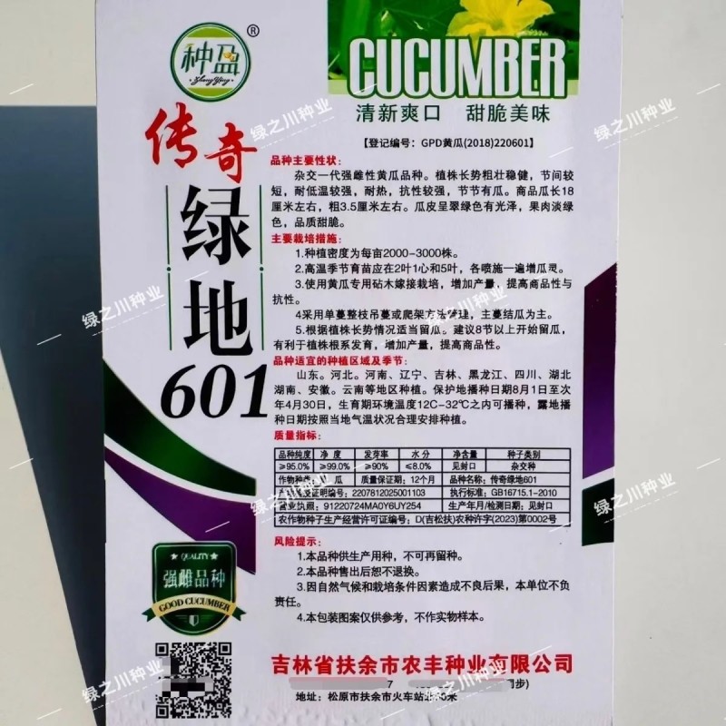 传奇绿地601水果黄瓜种子甜脆绿瓤绿肉黄瓜种子瓜味浓