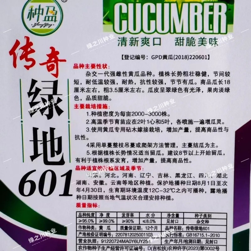传奇绿地601水果黄瓜种子甜脆绿瓤绿肉黄瓜种子瓜味浓