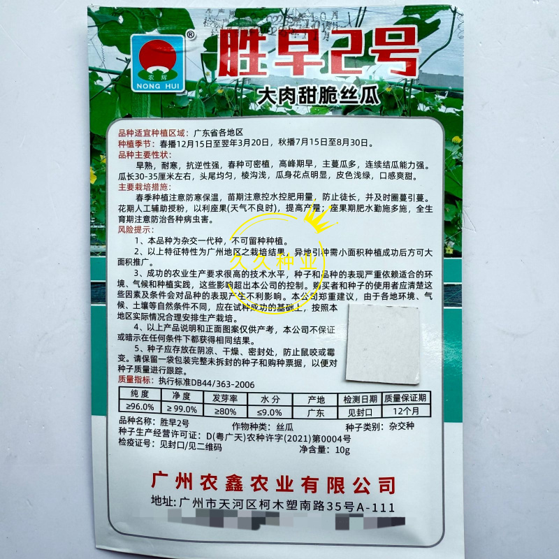 胜早2号大肉甜脆丝瓜种子早熟杂交头尾匀称棱沟浅皮色浅绿