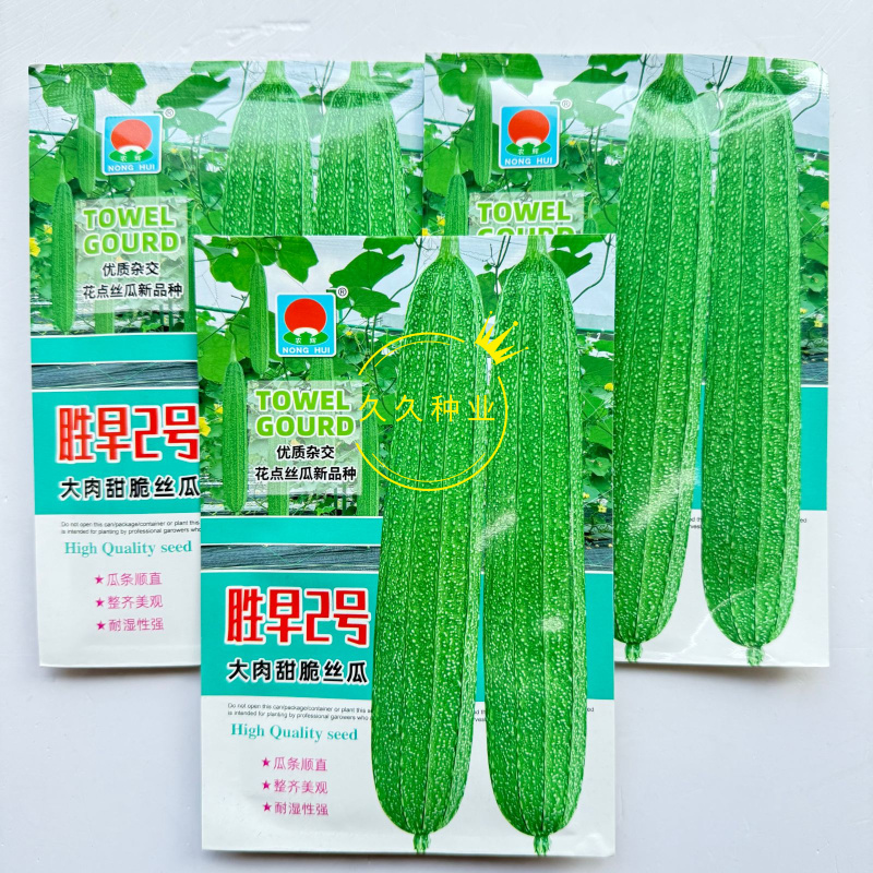 胜早2号大肉甜脆丝瓜种子早熟杂交头尾匀称棱沟浅皮色浅绿