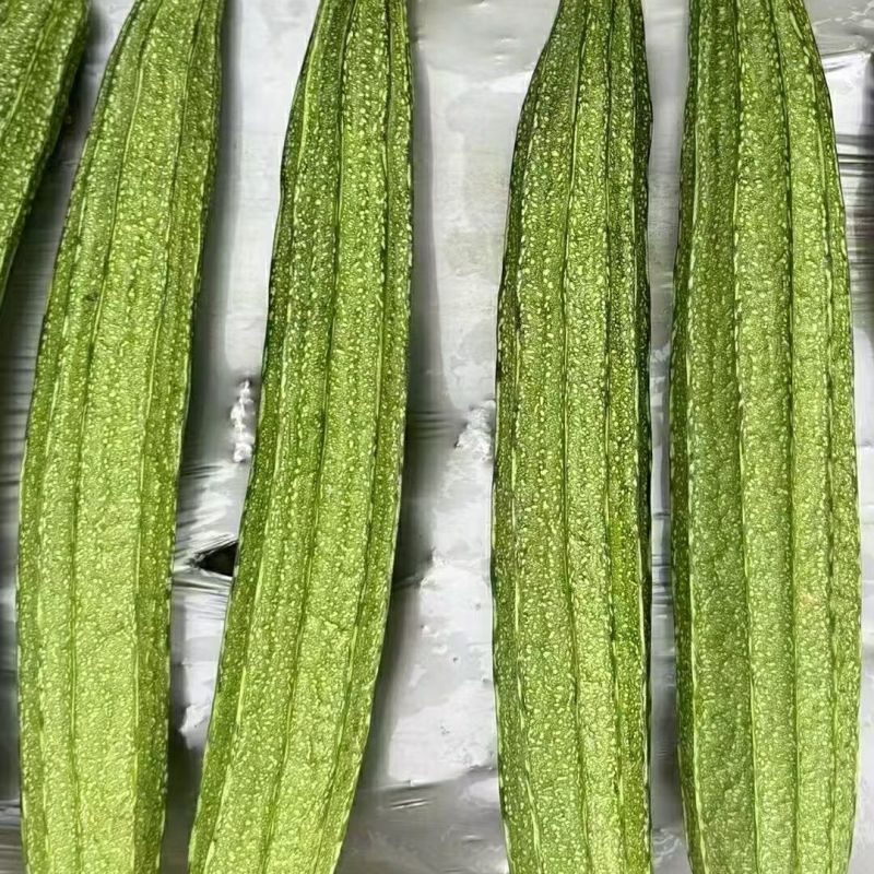 广研5号大肉花点丝瓜种子早中熟皮色浅青白有花点棱沟浅耐热