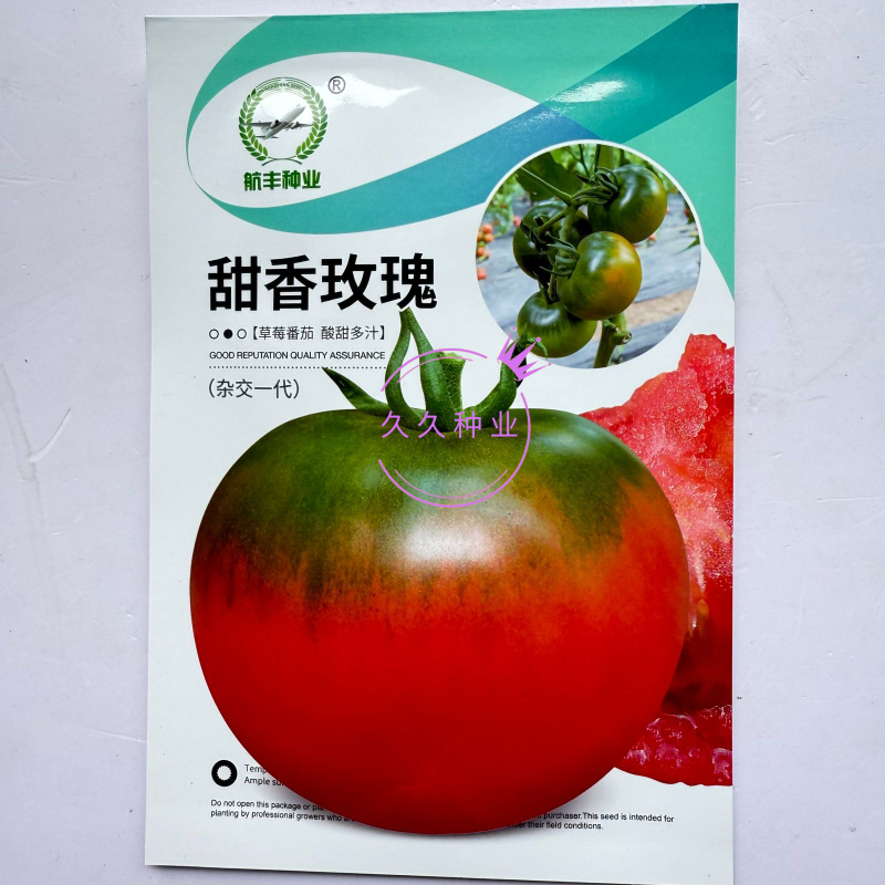 甜香玫瑰无限生长型草莓番茄种子酸甜可口抗病强