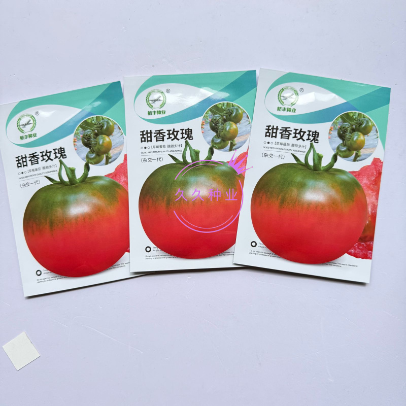 甜香玫瑰无限生长型草莓番茄种子酸甜可口抗病强