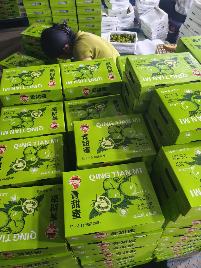 青甜青口蜜小番茄