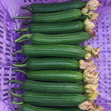鲜花油丝瓜