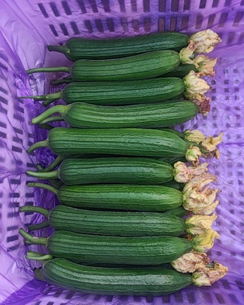 鲜花油丝瓜