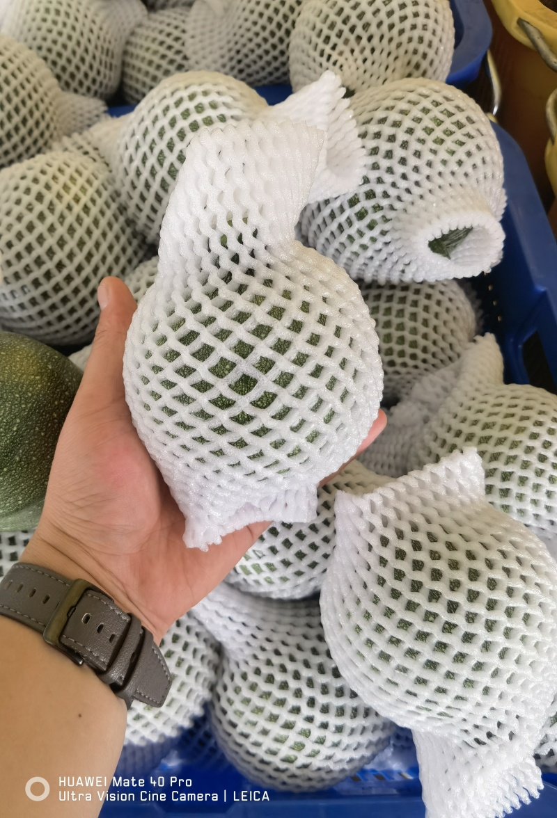 精品圆西葫芦，小南瓜，圆瓜产地一手货源代发全国