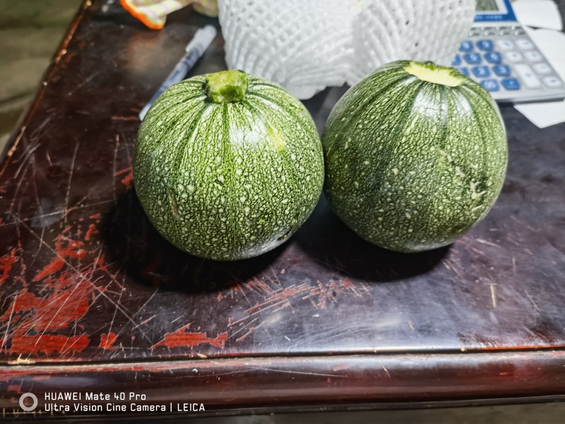 精品圆西葫芦，小南瓜，圆瓜产地一手货源代发全国