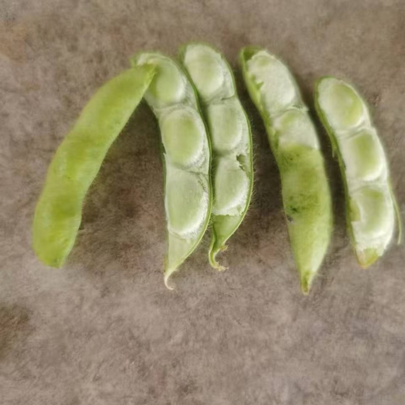 精品大毛豆，四季豆，虹豆大量有货