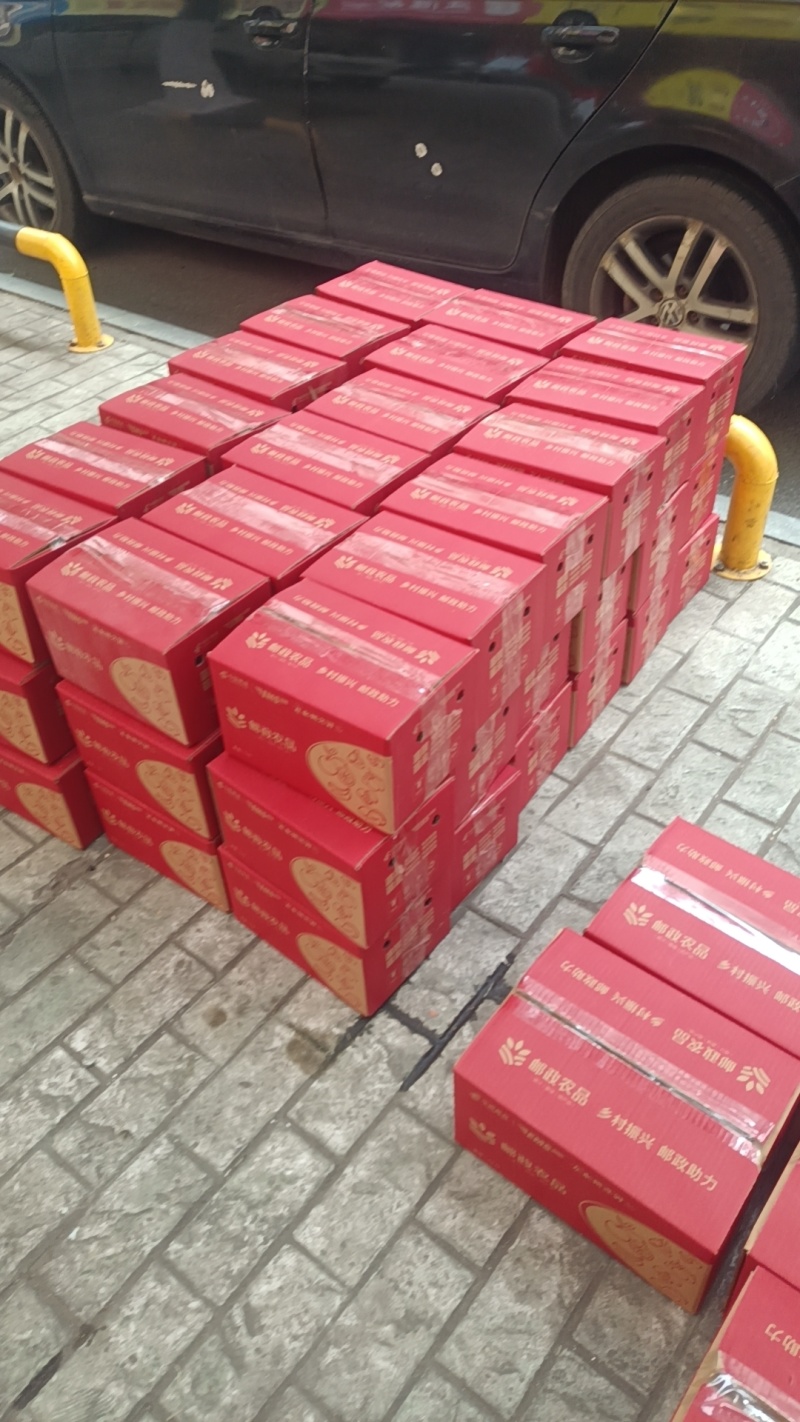 夏橙江永夏橙一件代发批发零售品质严选/榨汁果