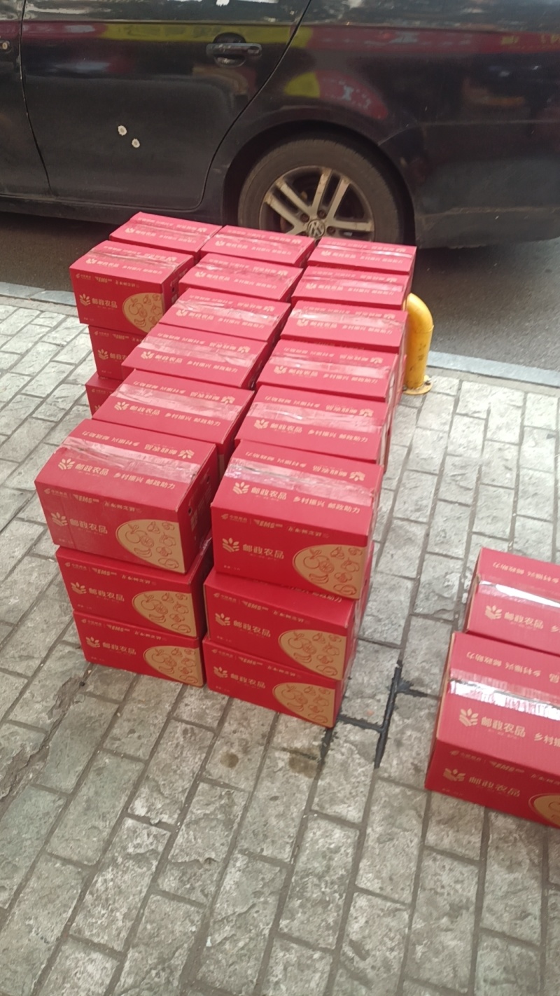 夏橙江永夏橙一件代发批发零售品质严选/榨汁果
