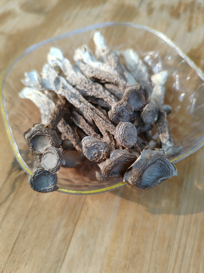 精品鹿茸菇干货大量现货批发无硫无增重剂净重