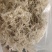 贵州优质水苔